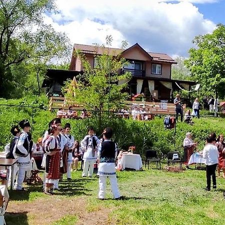 Pensiunea Poiana Marului - Bisoca Kültér fotó