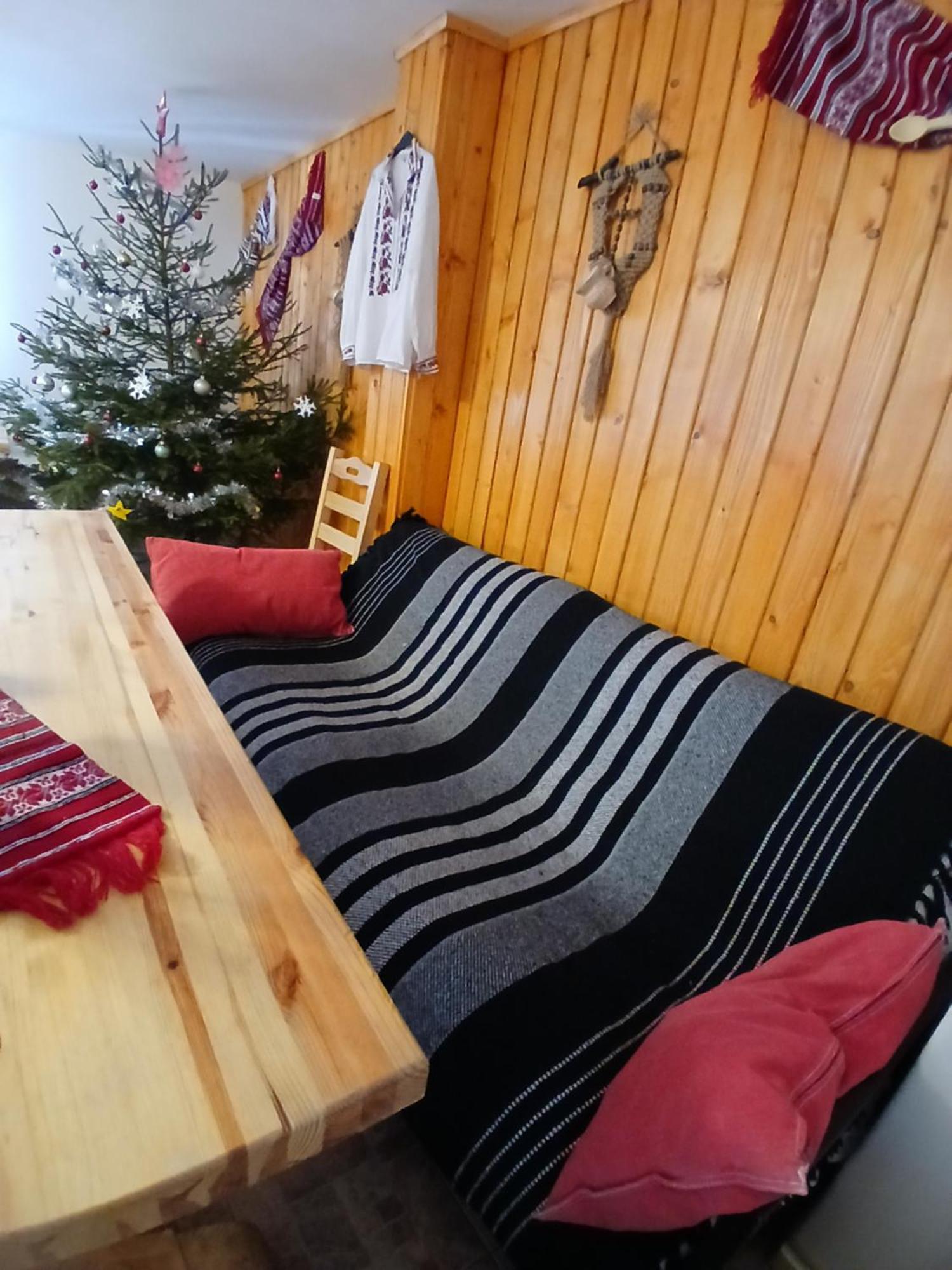 Pensiunea Poiana Marului - Bisoca Kültér fotó